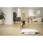 Beurer PP 170 Polly Pet Scale Báscula Digital Multifuncional