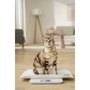 Beurer PP 170 Polly Pet Scale Báscula Digital Multifuncional