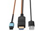Lindy Cable de fibra óptica InfiniBand 100 m MPO Multicolor