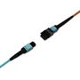 Lindy Cable de fibra óptica e InfiniBand OM3, 100 m, MPO Macho a MPO Macho, Multicolor, 48 Gbit/s - Ref. 38360