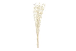 DKD Home Decor Ramo de Flores Secas Pristimera Crema 15x15x65 cm