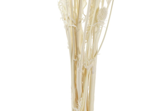 DKD Home Decor Ramo de Flores Secas Pristimera Crema 15x15x65 cm
