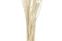 DKD Home Decor Ramo de Flores Secas Pristimera Crema 15x15x65 cm