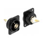 DeLOCK Módulo Type-D hembra BNC con conector de estaño, Negro
