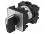 SCHNEIDER ELECTRIC Interruptor de leva 12A 0-1 negro