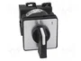 SCHNEIDER ELECTRIC Interruptor de leva 12A 0-1 negro