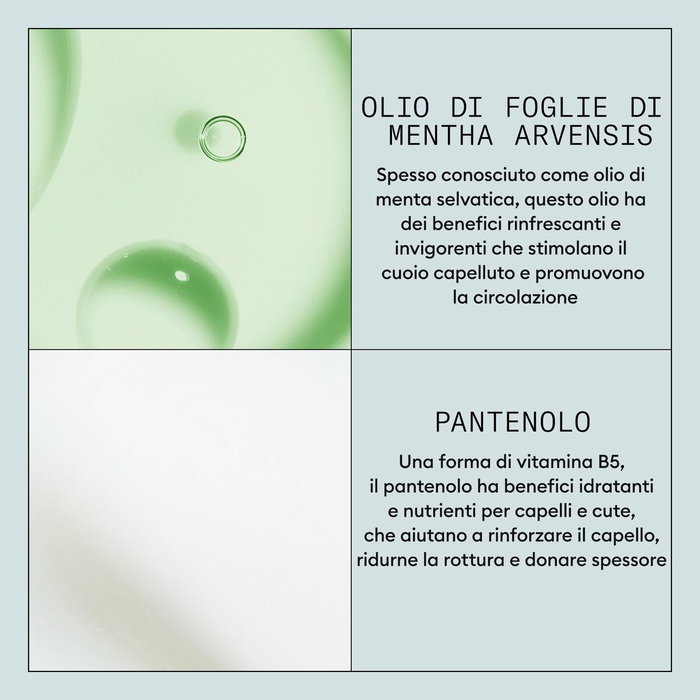 Laca Fijadora Nioxin 300 ml Laca Fijadora Nioxin 300 ml