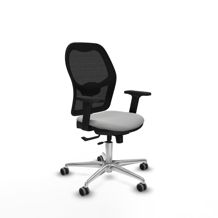 PIQUERAS Y CRESPO Silla de oficina Jorquera Gris claro y Negro PIQUERAS Y CRESPO Silla de oficina Jorquera Gris claro y Negro