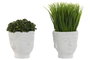 DKD Home Decor Planta Cemento PE Surtido de 2 Colores