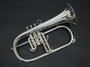 Fliscorno J. Michael Bpfg-850S