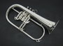 Fliscorno J. Michael Bpfg-850S