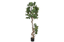 DKD Home Decor Árbol de Parra Verde de Poliéster 58x58x180 cm