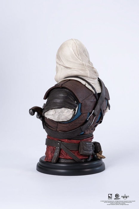 Pure Arts Busto 1/4 Edward Assassin's Creed