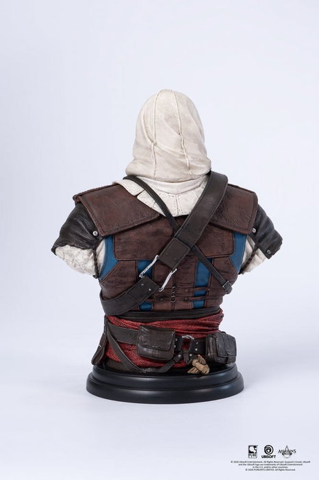 Pure Arts Busto 1/4 Edward Assassin's Creed