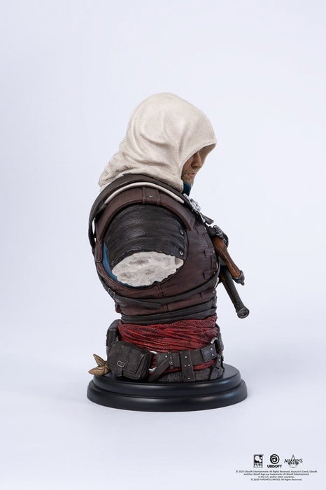 Pure Arts Busto 1/4 Edward Assassin's Creed