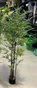 DKD Home Decor Planta Bambú Verde Kyoto 50x50x180 cm