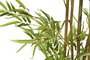 DKD Home Decor Planta Bambú Verde Kyoto 50x50x180 cm