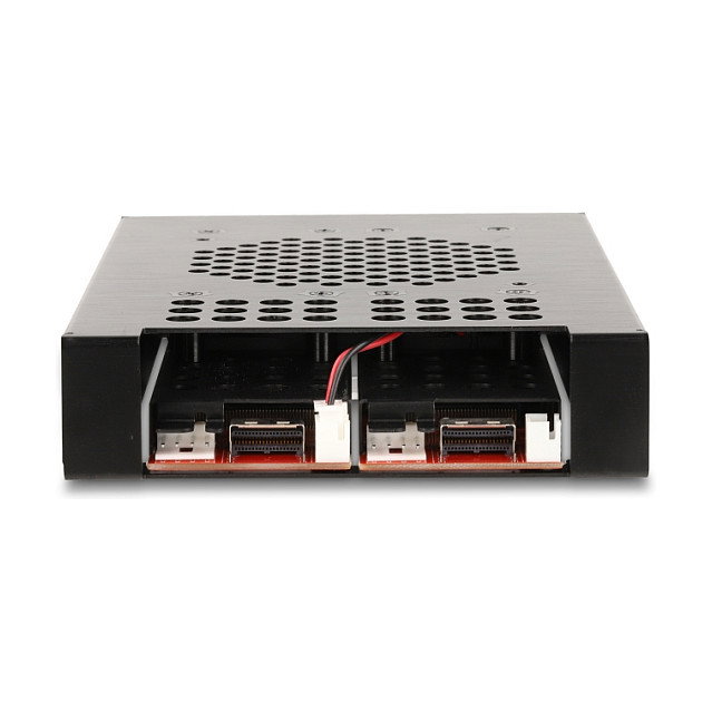 DeLOCK 47117 Rack móvil de 3.5″ para 2 x SSD M.2 NVMe con Slim SAS SFF-8654