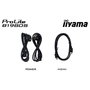 Iiyama ProLite B1980S-B1 Monitor de 19 pulgadas, 1280 x 1024, TN, Negro
