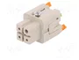 ILME CKSHF 03 Conector HDC Hembra de 4 Pines