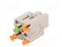 ILME CKSHF 03 Conector HDC Hembra de 4 Pines
