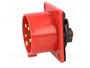 PAWBOL Conector de alimentación AC trifásicos Macho 5 Pines 16A 400V
