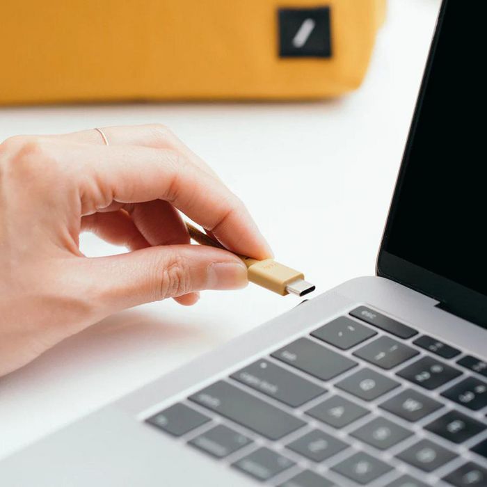 Native Union Anchor Cable USB-C a USB-C 3M Zebra, Cable de Carga y Datos Duradero con Peso Antideslizante y Materiales Reciclados