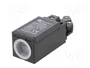 SPAMEL LK-200 Interruptor de fin de carrera con palanca angular y roldana