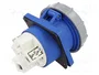 SEZ DK IEGN 12532 Conector Hembra para Panel Azul
