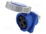 SEZ DK IEGN 12532 Conector Hembra para Panel Azul