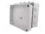 ELEKTRO-PLAST NASIELSK Caja de conexiones IP55 gris