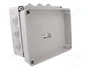 ELEKTRO-PLAST NASIELSK Caja de conexiones IP55 gris