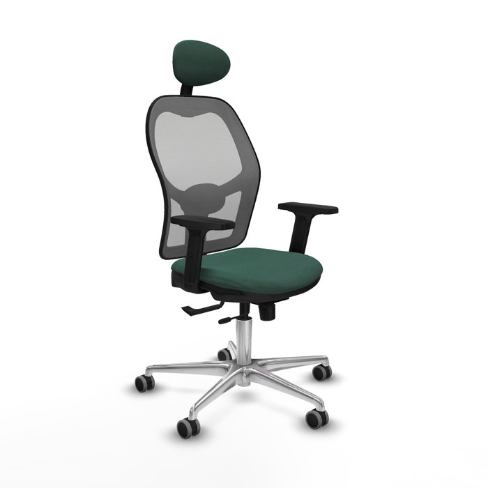 PIQUERAS Y CRESPO Silla de oficina Jorquera con mecanismo Sincro/Traslack, Verde botella y Gris PIQUERAS Y CRESPO Silla de oficina Jorquera con mecanismo Sincro/Traslack, Verde botella y Gris