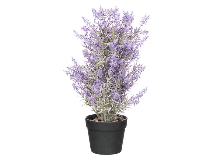 Ibergarden Planta de Lavanda en Maceta de Piedra Decorativa 48 cm - Dimensiones: 30x30x50 cm - Color Morado/Negro/Verde (Set de 6)