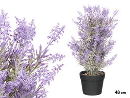 Ibergarden Planta de Lavanda en Maceta de Piedra Decorativa 48 cm - Dimensiones: 30x30x50 cm - Color Morado/Negro/Verde (Set de 6)