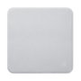 Apple Polishing Cloth MLH74ZM/A Gris