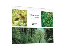 Archivo 2000 Expositor Mural Din A3 Horizontal con Taladros Espesor 2 mm Cristal Transparente 420x325 mm