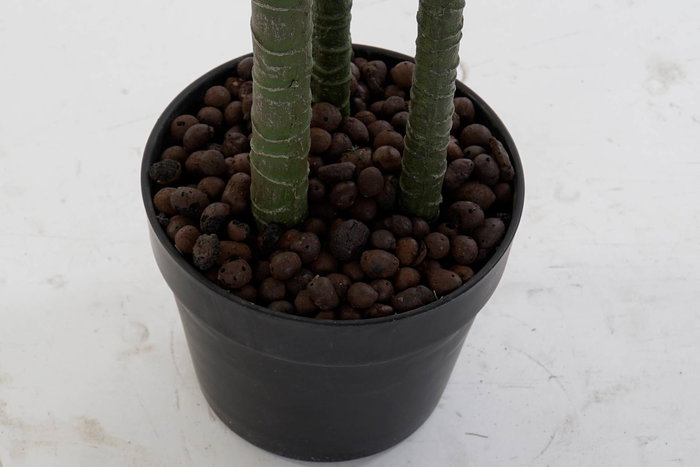 DKD Home Decor Planta Artificial Dracaena en Maceta, Verde y Negro, 59x126x57 cm, 2 Unidades