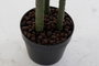 DKD Home Decor Planta Artificial Dracaena en Maceta, Verde y Negro, 59x126x57 cm, 2 Unidades