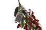 DKD Home Decor Guirnalda LED PVC 35 LEDs Verde y Rojo 15x15x180 cm