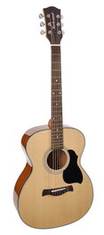 Richwood A-40 Guitarra Acústica Auditorium