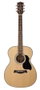 Richwood A-40 Guitarra Acústica Auditorium