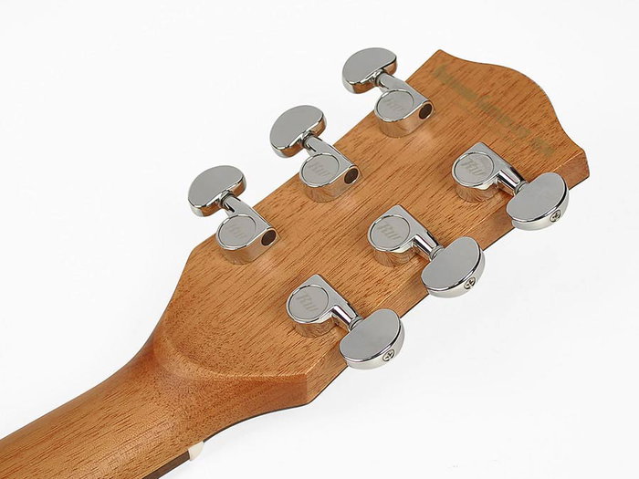 Richwood A-40 Guitarra Acústica Auditorium