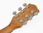 Richwood A-40 Guitarra Acústica Auditorium