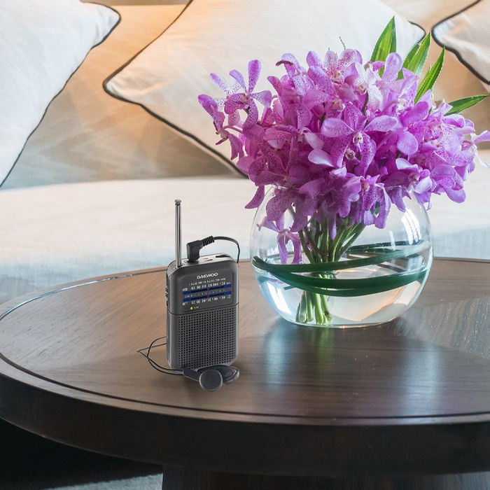 Daewoo Radio Portátil AM/FM, Gris