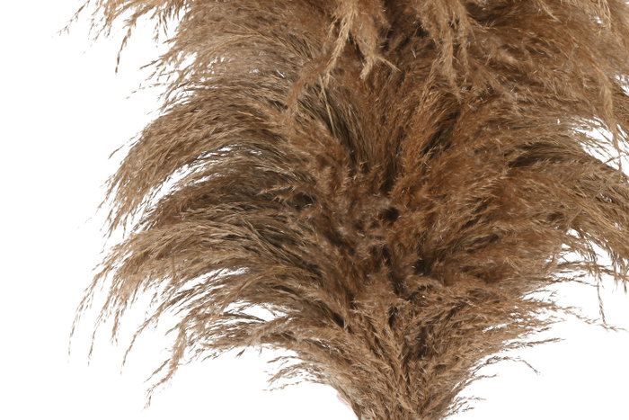 DKD Home Decor Decoración de Rayung y Bambú de 240 cm