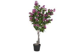 DKD Home Decor Árbol de Buganvilla Fucsia y Verde 80x80x176 cm