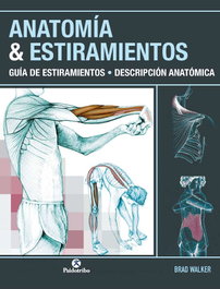 PAIDOTRIBO, ANATOMÍA & ESTIRAMIENTOS. Guía de estiramientos. Descripción anatómica (Color), Brad Walker - PAIDOTRIBO