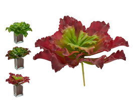 Ibergarden Planta Hojas Onduladas Grande 3 Col Surtidas 31x24x31 cm (Set de 12)