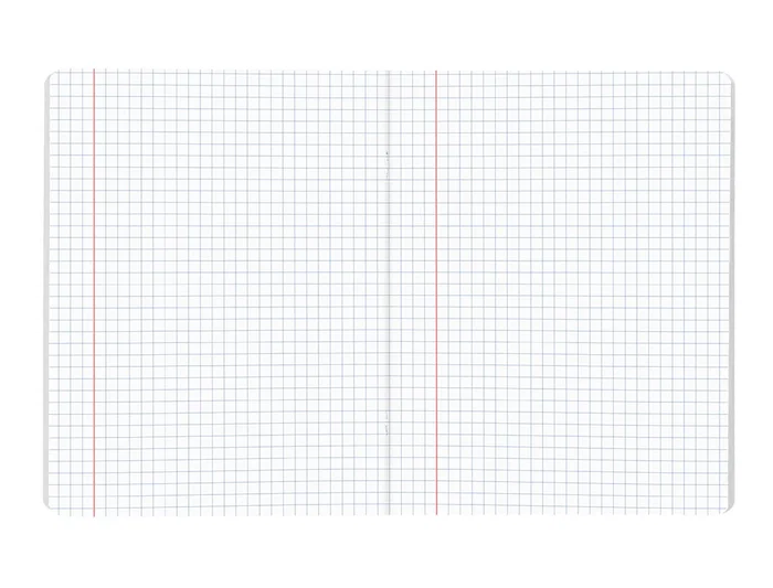 Liderpapel Libreta Escolar Scriptus 48 Hojas Din A5 Cuadro 6 mm Papel 90 gr Sin Margen